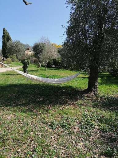 Studio Au Milieu D Une Oliveraie Le Mas De La Huppe Tourrettes-sur-Loup Esterno foto